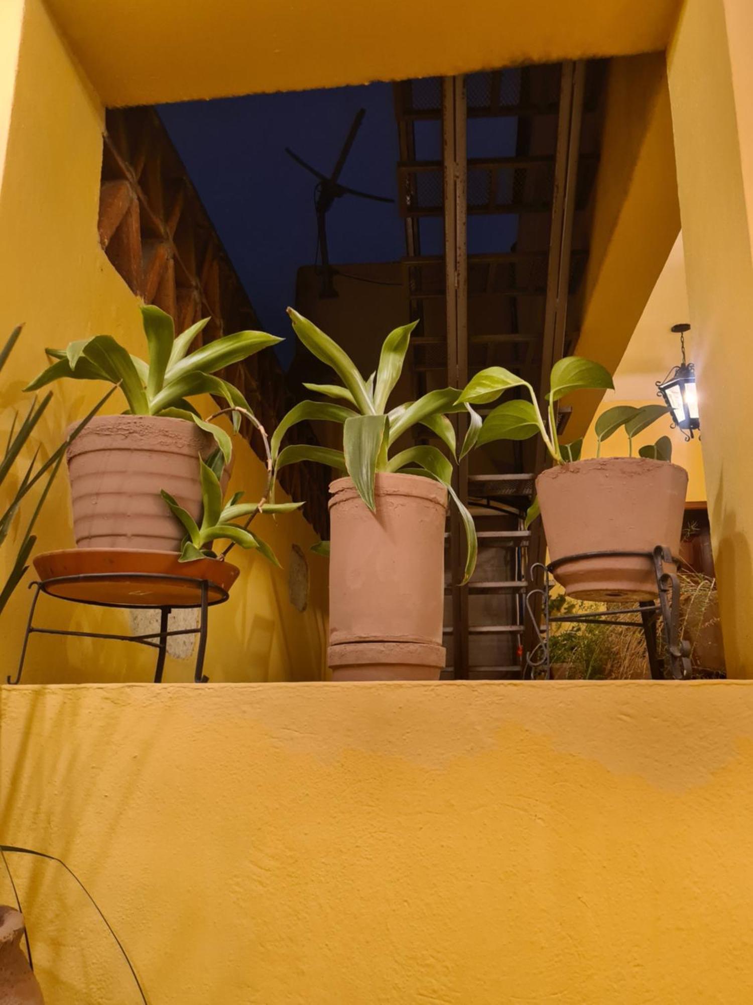 Hotel Casa Divina Oaxaca 外观 照片