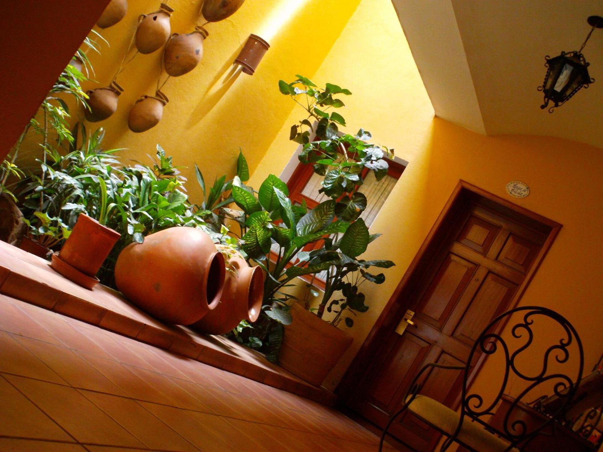 Hotel Casa Divina Oaxaca 外观 照片