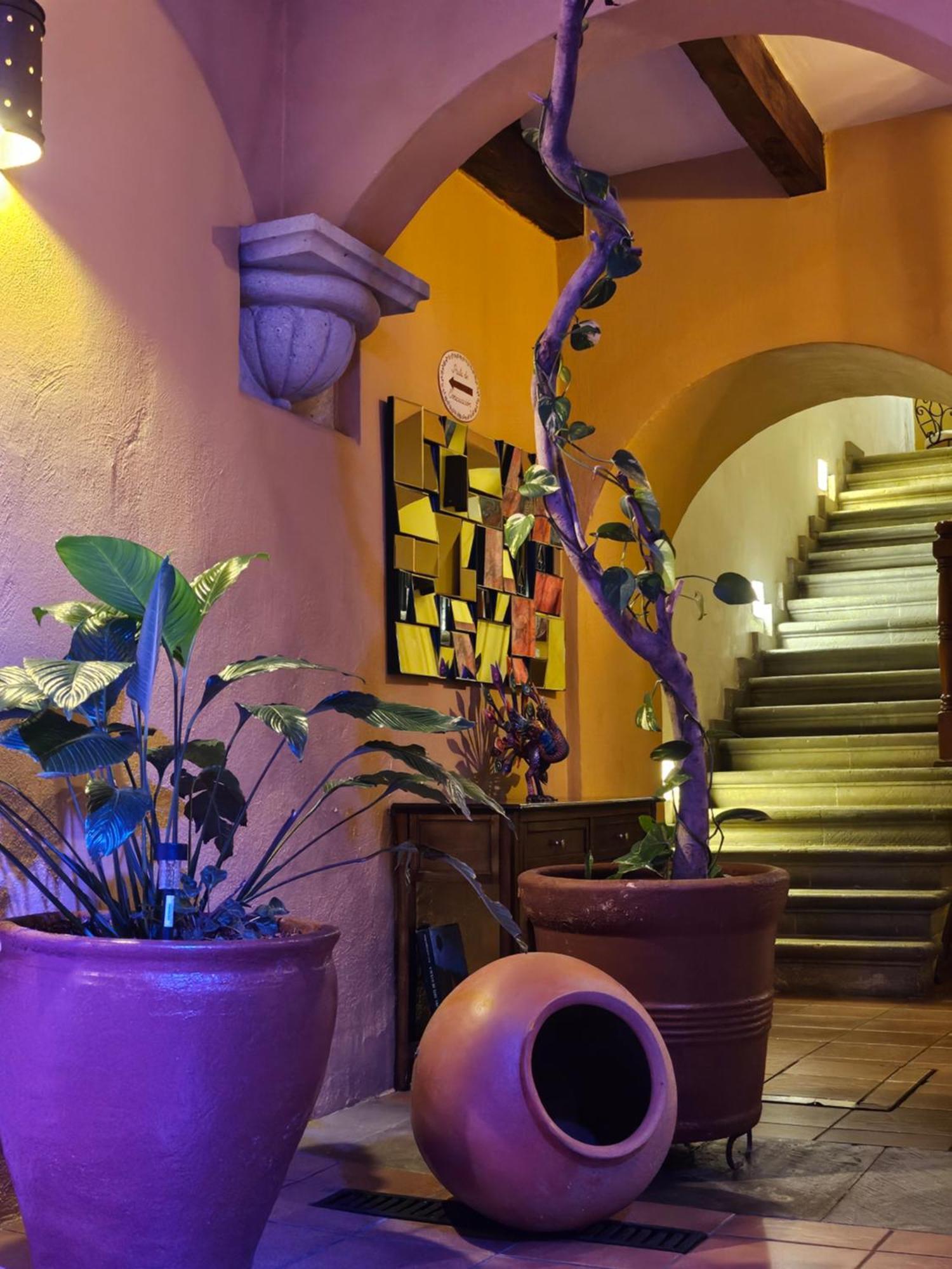 Hotel Casa Divina Oaxaca 外观 照片